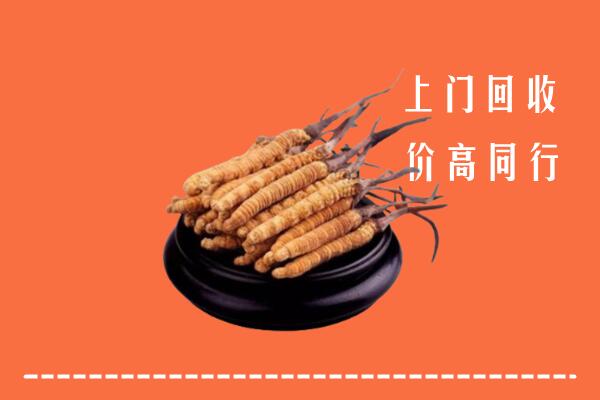 高价求购：大同云州回收散虫草
