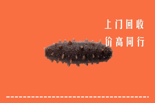 高价求购：大同云州回收海参