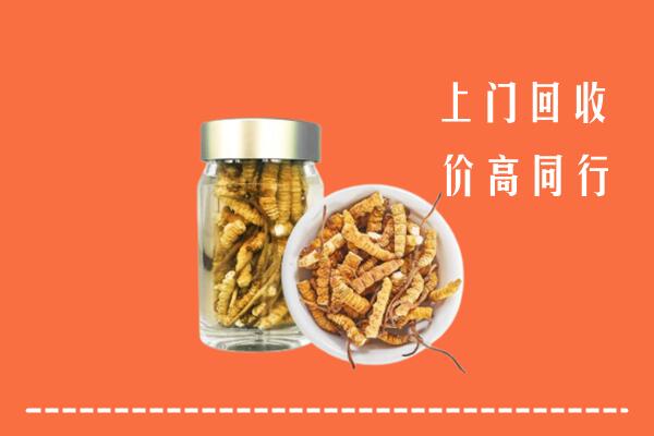 大同云州回收冬虫夏草