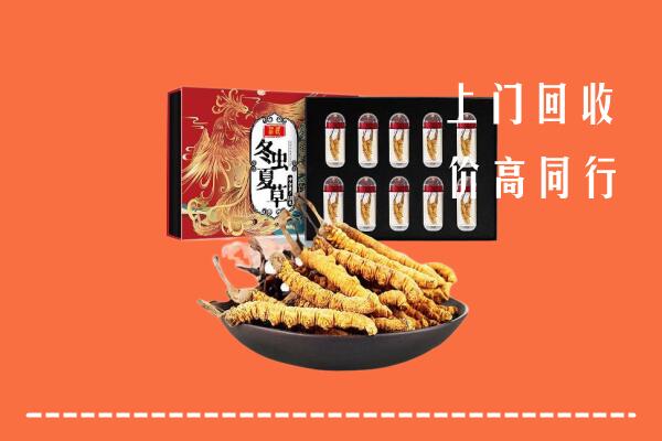 大同云州回收虫草